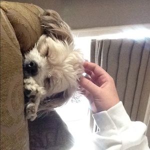 Meet your Posher, Isabella